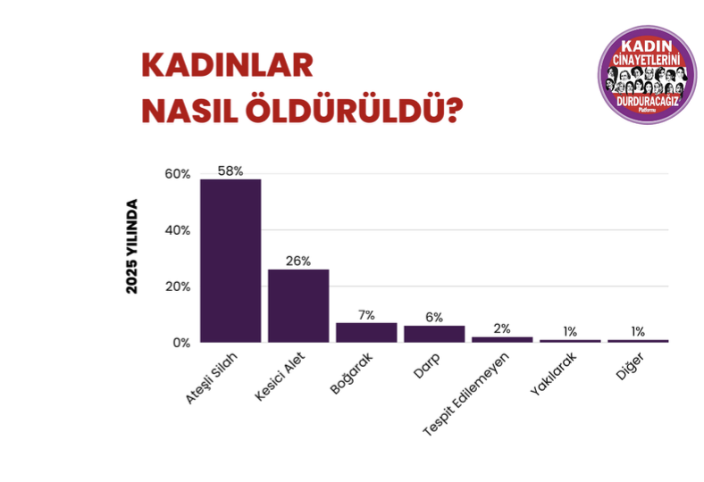 2025'te en az 294 kadın erkekler tarafından katledildi, şüpheli kadın ölümleri ilk kez kadın cinayetlerinin önüne geçti 8